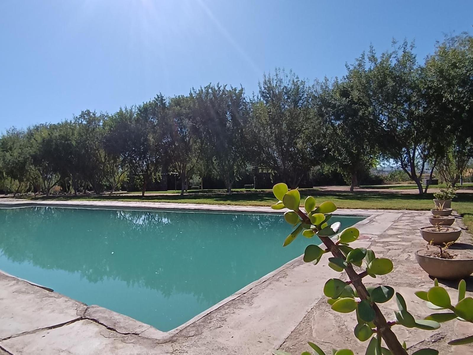 Kwelanga River Lodge Vioolsdrift Extérieur photo
